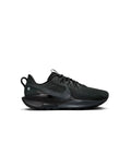 Nike Pegasus Trail 5 Black