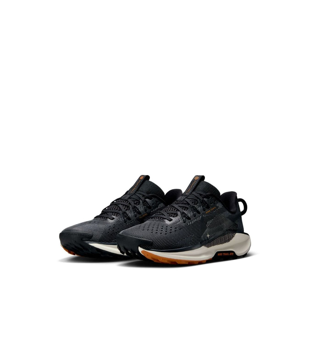 Nike Pegasus Trail 5