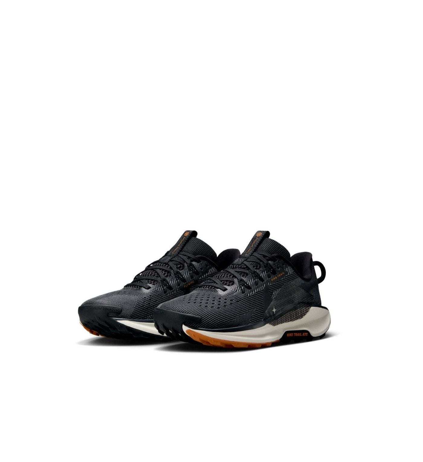 Nike Pegasus Trail 5