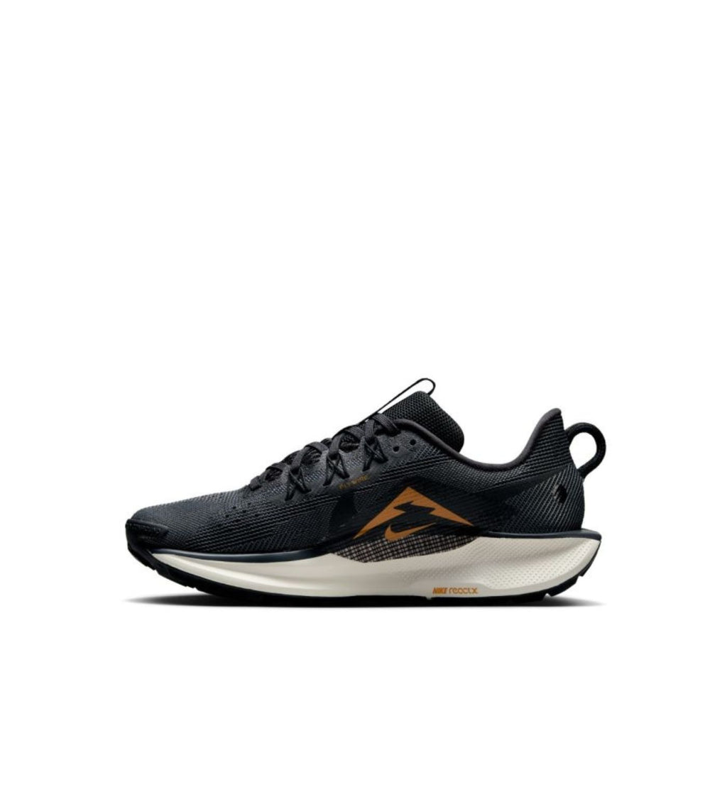 Nike Pegasus Trail 5