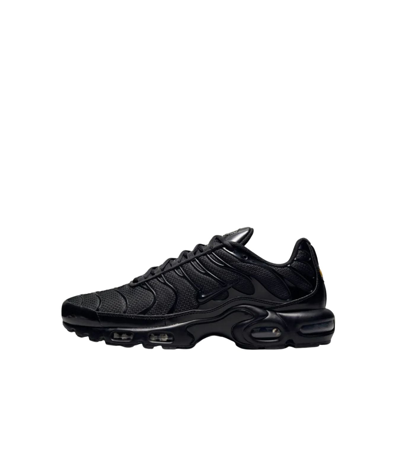 Nike Air Max Plus "Triple Black"